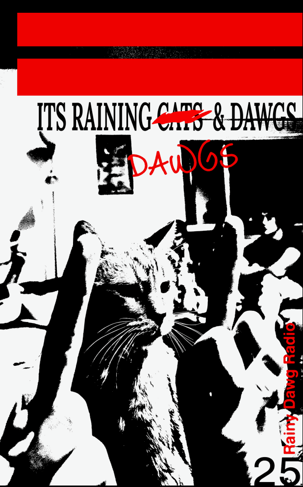 /zine25.png